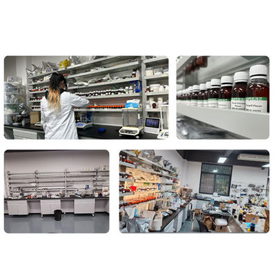 Food Grade Sweet Corn Flavor for Snacks and Beverages